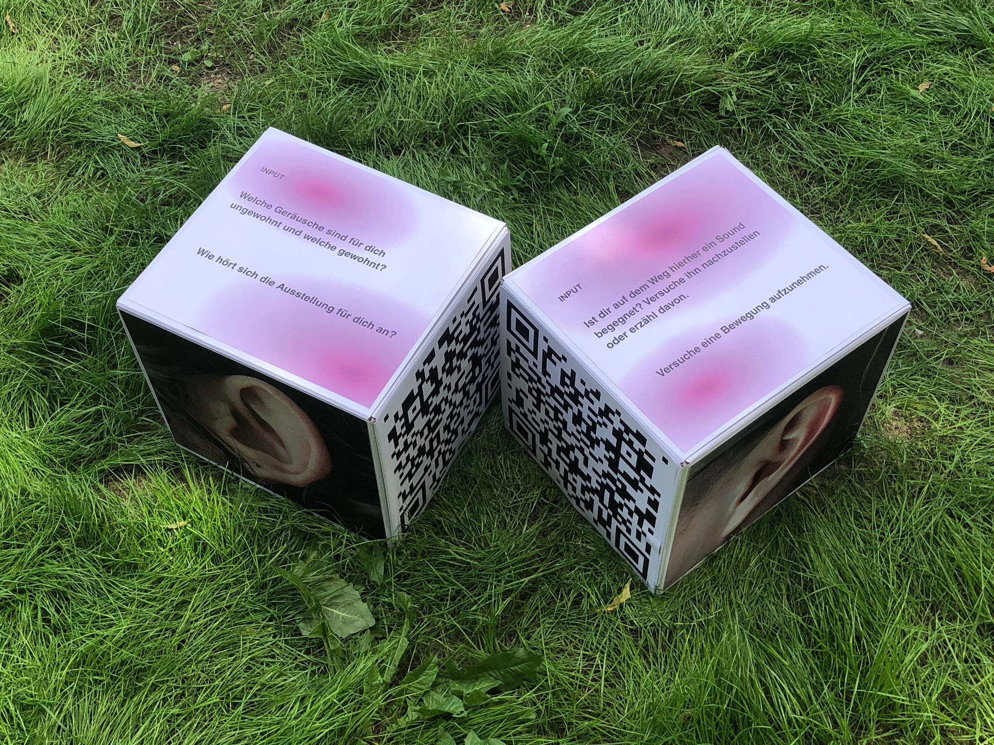 Zwei Würfel stehen auf einer Grasfläche nebeneinander. Beide sind auf der nach oben gedrehten Seite mit Text und violetten, graphischen Elementen beklebt. Auf den anderen beiden sichtbaren Seiten sind jeweils ein QR-Code und ein. Foto von einem Ohr.