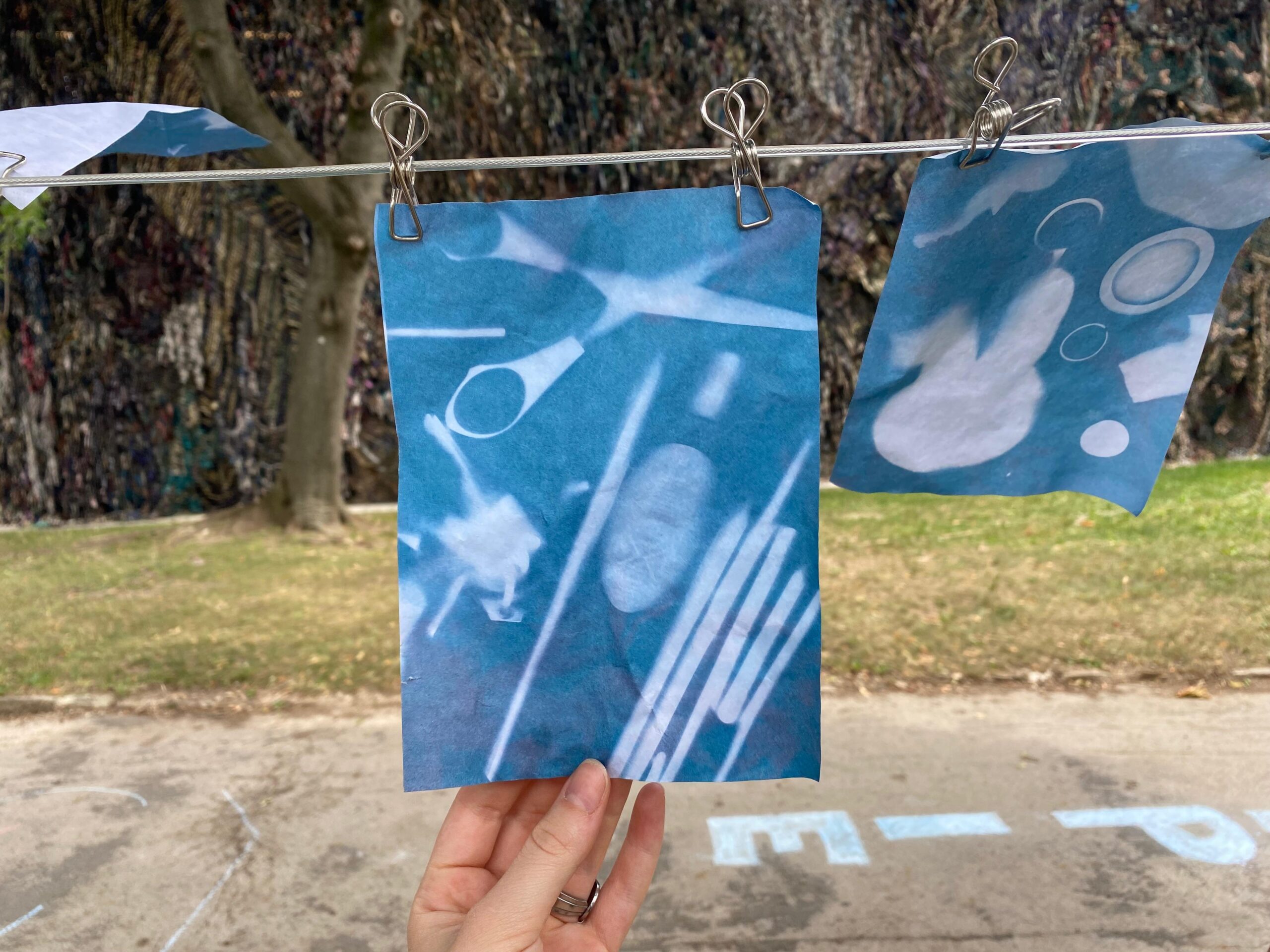 Mehrere blau-weiße Cyanotypien trocknen nebeneinander auf einer Wäscheleine im Park.